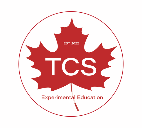 TCS Experimental Education